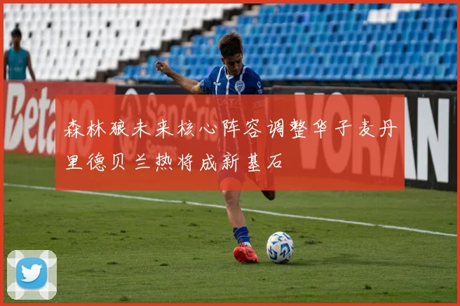 森林狼未来核心阵容调整华子麦丹里德贝兰热将成新基石