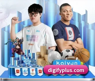 持续创新